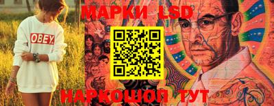 стаф Моздок