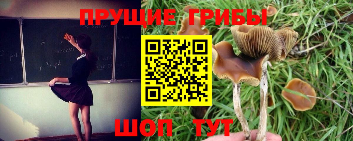 Галлюциногенные грибы MAGIC MUSHROOMS Тула